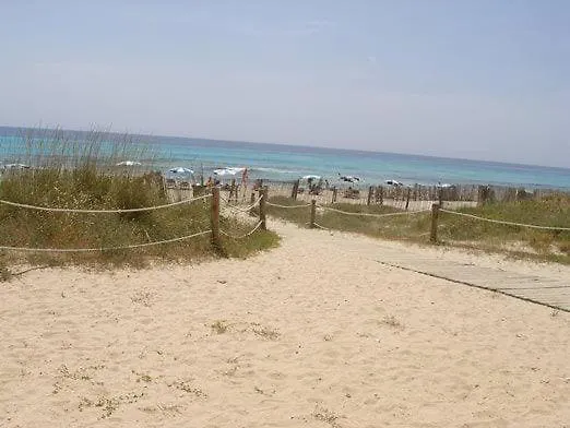 Apartment 2 Bedroom , Son Bou