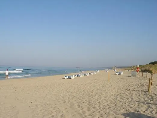 Apartment 2 Bedroom ,